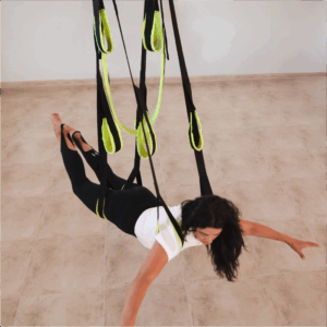 Aeromotriz - Capacitación profesional orientada a incorporar el programa